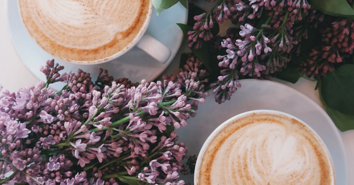 kahve-dukkanlari-8e4ac210a15e89975cd10c2cd22ed05c