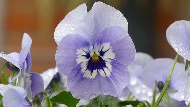 test-soruları-93.jpeg
