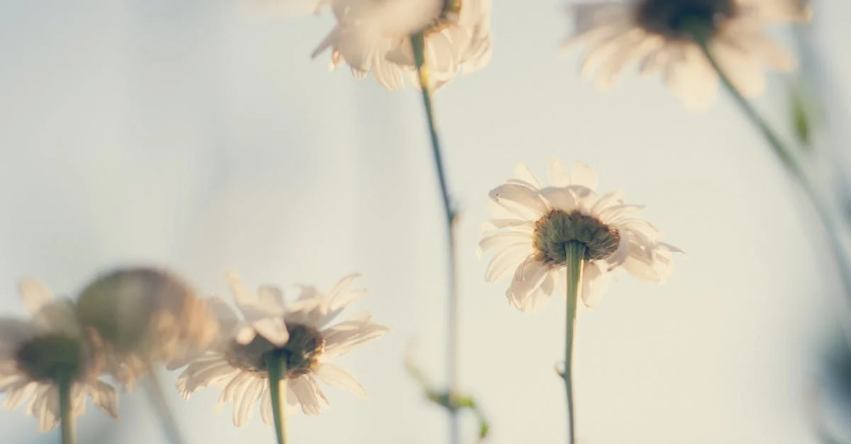 test-verileri-953.jpeg